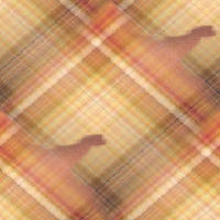 http://www.butterfly.adv.br/tutoriais/TOPS/top_border_rasgado/pattern_rasgado.jpg